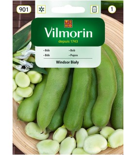 V - BÓB WINDSOR BIAŁY 40G (1)