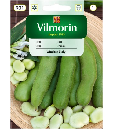 V - BÓB WINDSOR BIAŁY 40G (1)