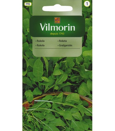 V - RUKOLA JEDNOROCZNA 3g (1)