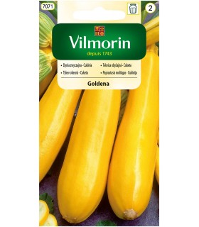 V - DYNIA ZW. CUKINIA GOLDENA 2g /2/