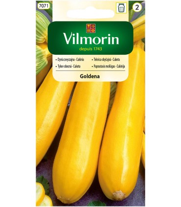 V - DYNIA ZW. CUKINIA GOLDENA 2g /2/